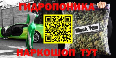крисы Новозыбков