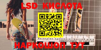 крисы Новозыбков