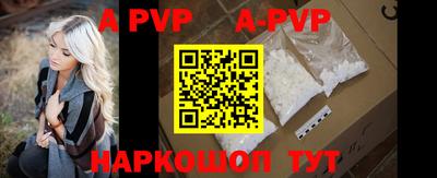spice Новодвинск
