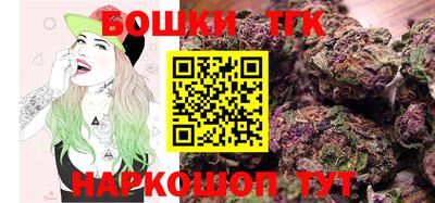 spice Новодвинск
