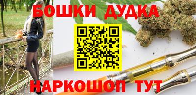 spice Новодвинск