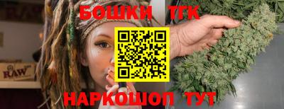 крисы Новозыбков