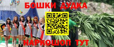 spice Новодвинск