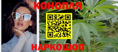 крисы Новозыбков